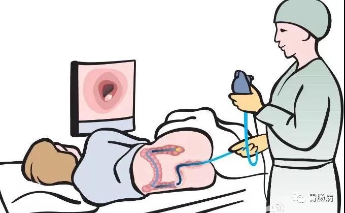 “胃”你好嗎？“腸”來看看！