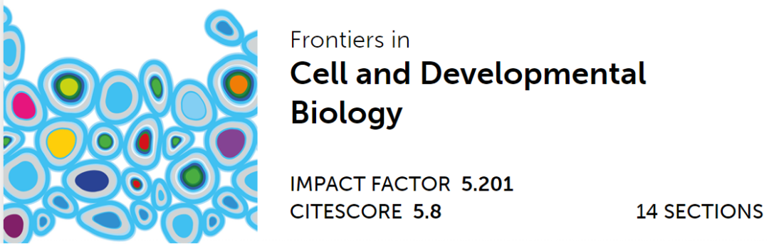 心臟病醫(yī)院王海昌院長科研團(tuán)隊(duì)在心肌病研究領(lǐng)域有新突破！