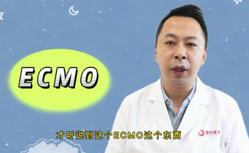 什么是ECMO？