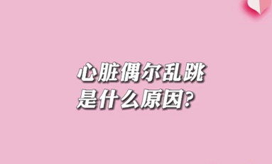【名醫(yī)面對面之心臟100問】心臟偶爾亂跳是什么原因？