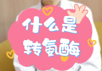 【名醫(yī)面對(duì)面之消化100問(wèn)】什么是轉(zhuǎn)氨酶？