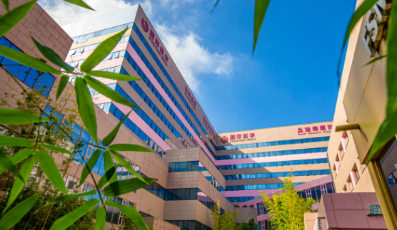 國(guó)醫(yī)四味：竹林、紫杉、桂花、銀杏，還有那……