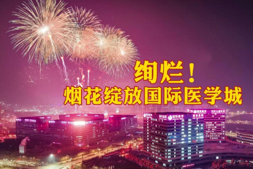絢爛！煙花綻放國際醫(yī)學(xué)城